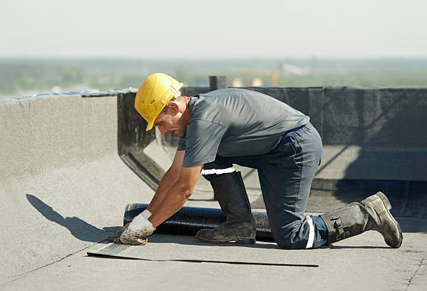 Best Home Insulation Services  in Harrisville, PA